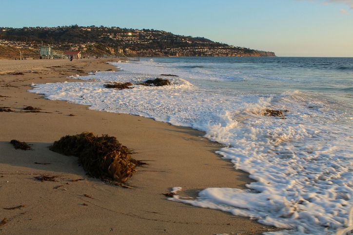 charter bus rentals in torrance - torrance state beach - south bay